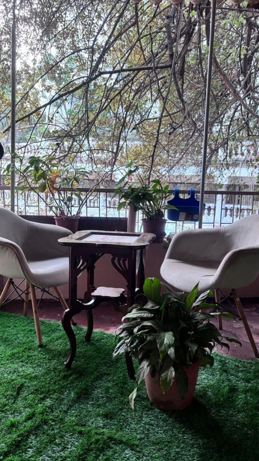 Apartament Nest